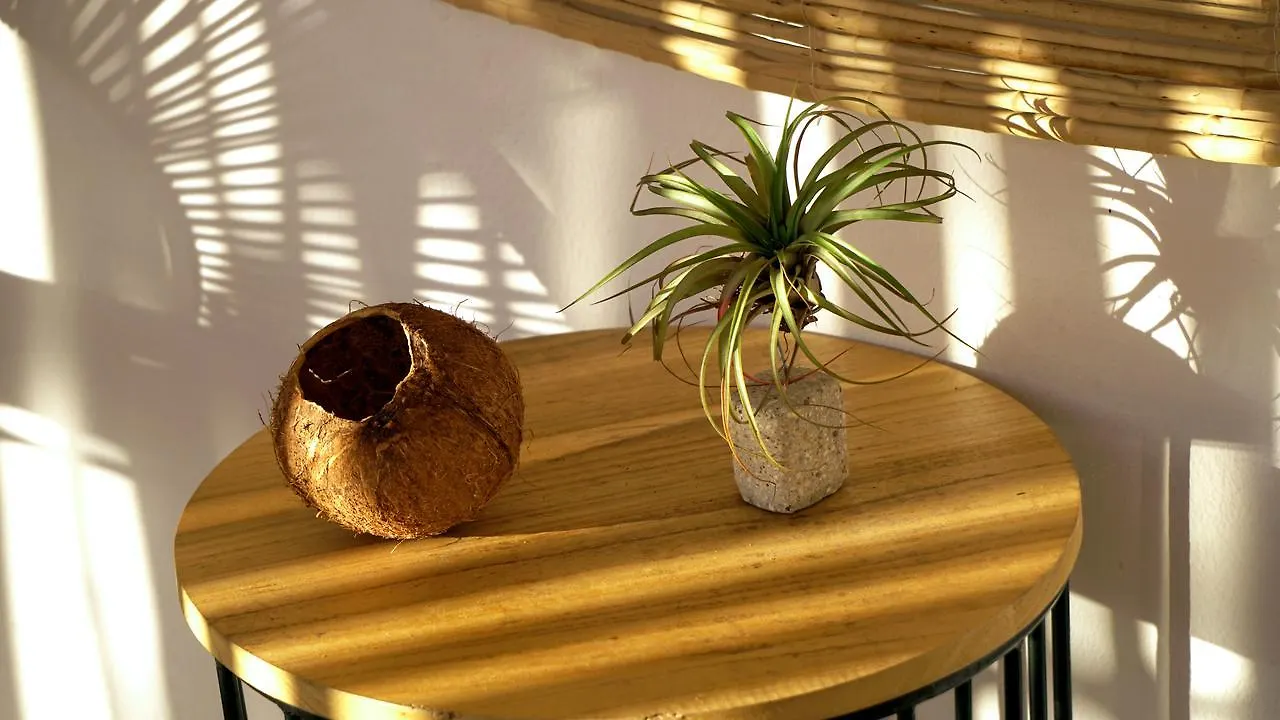 Coelum Hotel Tulum